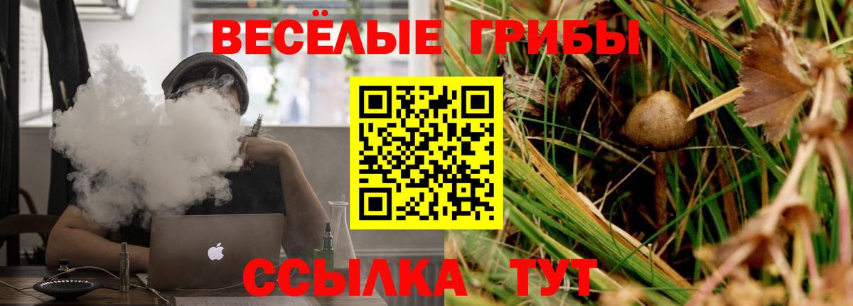 Галлюциногенные грибы прущие грибы Азов